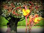 Fotoblog siaga123