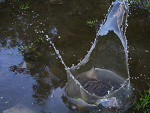 Fotoblog gunusia12