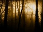 Fotoblog pessimisticlife