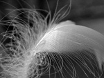 Fotoblog amatorska