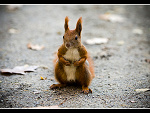 Fotoblog michal1208990