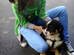 Fotoblog sina454