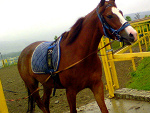 Fotoblog justyna9655