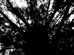 Fotoblog minidreams