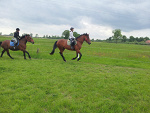 Fotoblog koniara2744