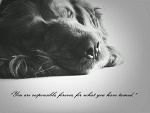 Fotoblog staystrongx333