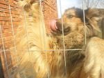 Fotoblog fotografico