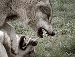 Fotoblog sindulamini025