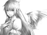 Fotoblog shiganori