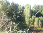 Fotoblog marioonetkaa