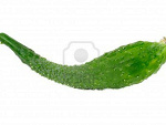 Fotoblog ogorekdodziurek