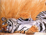 Fotoblog karolciaaak1993