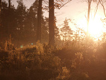 Fotoblog spajd