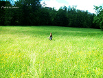 Fotoblog patriciaphoto
