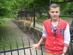 Fotoblog piesekl