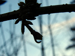 Fotoblog violaa69