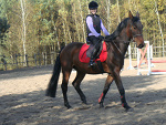 Fotoblog horsiak123