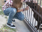 Fotoblog heartless