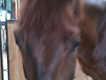 Fotoblog arrya