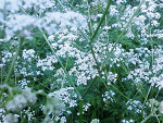 Fotoblog koteckuu45