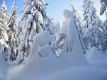 Fotoblog skowronek3991