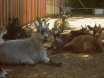Fotoblog tinuu27