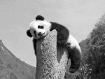 Fotoblog olaimania66