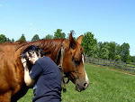 Fotoblog panshin