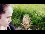 Fotoblog roksianaa
