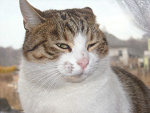 Fotoblog osiolom17