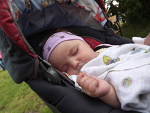 Fotoblog ola123458