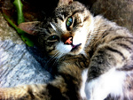 Fotoblog kathlynrosewood
