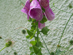 Fotoblog sabrynka