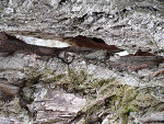 Fotoblog nataliakulisz