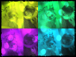 Fotoblog ourlittleworld123