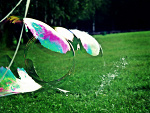 Fotoblog antoninayani