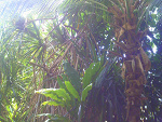 Fotoblog ilovedyoou