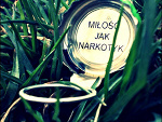 Fotoblog wikusia1215