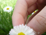 Fotoblog izaphotography0005