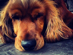 Fotoblog departurechill