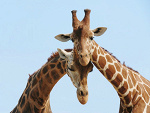 Fotoblog inspiractionx3