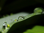 Fotoblog admelioratempora