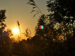 Fotoblog takzeetego