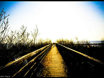 Fotoblog karel93