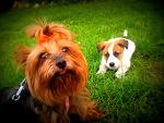 Fotoblog ewae