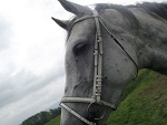 Fotoblog dutka645