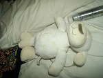 Fotoblog nobodyisperfeect