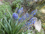 Fotoblog sylwia232323