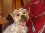 Fotoblog martis1