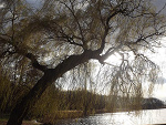 Fotoblog tiilltheend